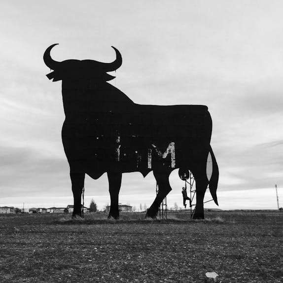 Course Camarguaise Aux Arenes De Salin De Giraud Confidens D Arles